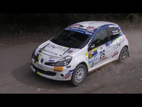 RALLY LIBURNA TERRA 2019 VAGNINI BALDAZZI RENAULT CLIO