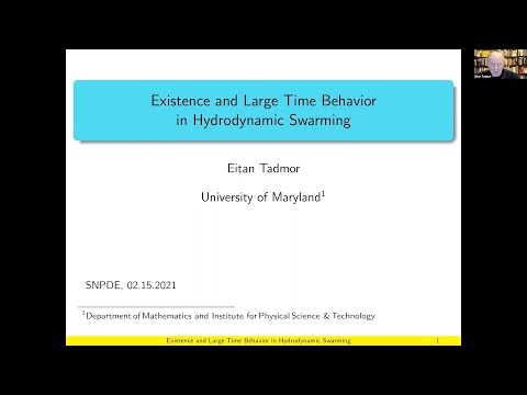 SN Partial Differential Equations and Applications Webinars   Eitan Tadmor