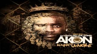 Akon - Salute 100 Y&#39;all ft. Fabolous &amp; Money J