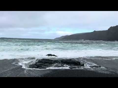 #beach #festival #canada #winter