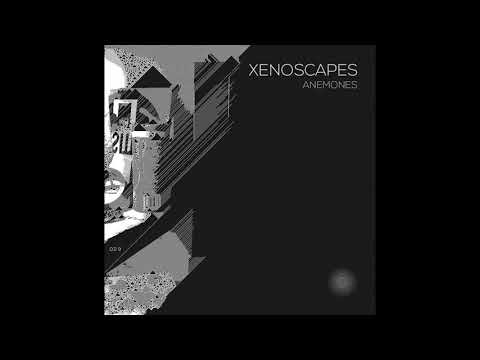 Xenoscapes - Anemone