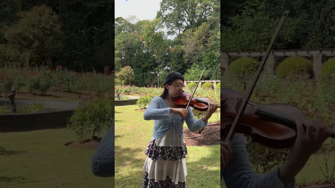 Promotional video thumbnail 3 for Solo Violin and More For All Events