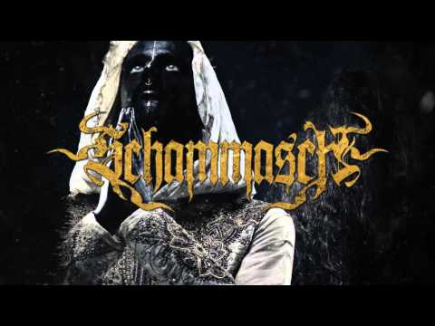 SCHAMMASCH - Consensus (Exclusive track premiere)
