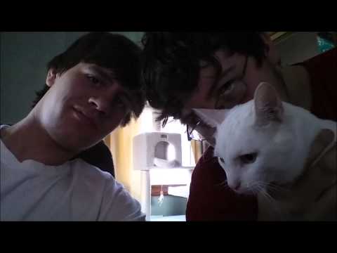 Paulitiks ft. Dilly T - Hard Knock Freestyle