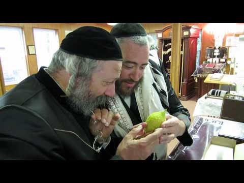 a chosid showing the niklesburg rebbe his esrog he bought for yom tov