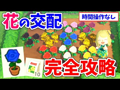 保護された植物