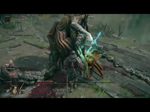 playing elden ring with a kid :D