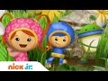 Team Umizoomi | Theme Song | Stay Home #WithMe | Nick Jr.