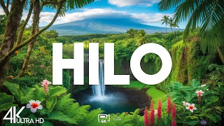 Top 10 Best Things to Do in Hilo, Hawaii - Travel Guide 2025