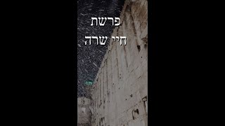 דקה לנשמה עם הרב קראוס - חידוש לפרשת חיי שרה