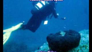 preview picture of video 'ARIAN-Tauchen-Diving-Spass-Fun in Kardamena-Kos'