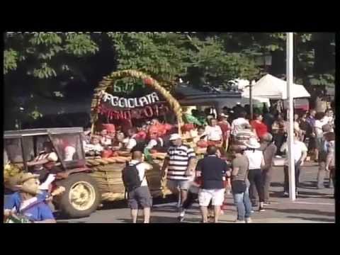 ONDA TG 11.06.2015 - MAGGIOLATA 2015