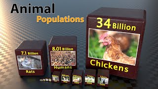 Population Comparison of Different Animals | Animals lefts on earth