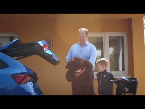 Veigel Automotive - Autochair Smart Lifter