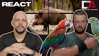 REACT - Caça e Preservação - Richard Rasmussen