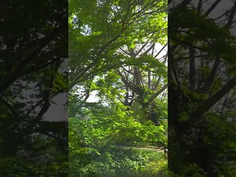 Nachtigall, ich hör dir trapsen 😝🥸