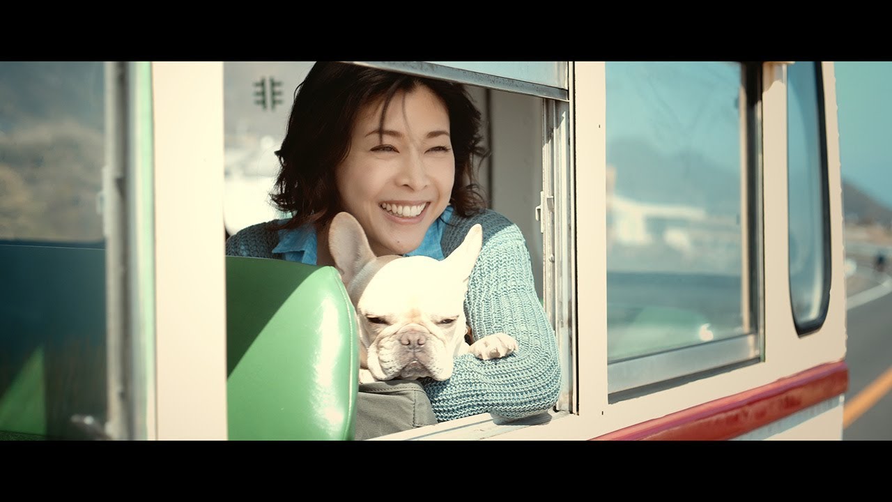 草なぎ剛 愛犬クルミちゃんがcmデビュー 竹内結子と共演で愛くるしい姿を披露 Mantanweb まんたんウェブ 草なぎ剛 愛犬クルミちゃんがcmデビュー 竹内結子と共演で愛くるしい姿を披露 Mantanweb まんたんウェブ
