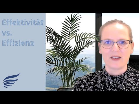 Der Unterschied zwischen Effizienz und Effektivität