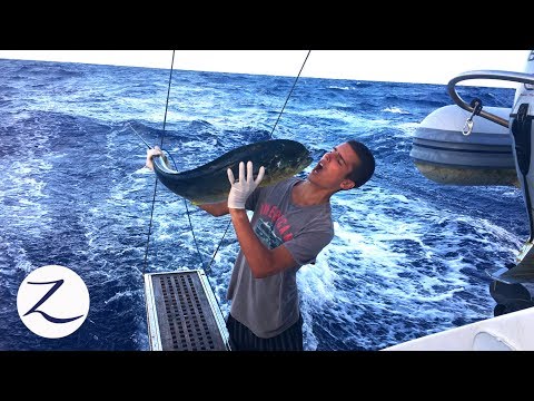 Offshore Fishing South Pacific - Catch, Clean, Cook, & EAT!!  (Ep 96)