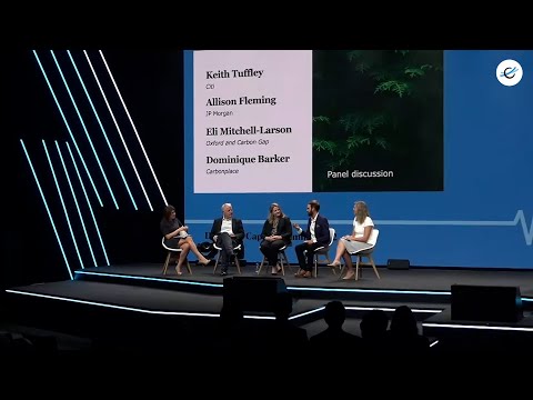 Climeworks' DAC Summit 2022 - Panel discussion 3