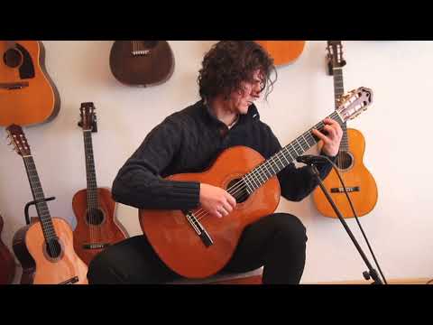 Dieter Hopf La Portentosa 2004 - Ramirez 1a style - classical guitar handmade in Germany - check video! image 17