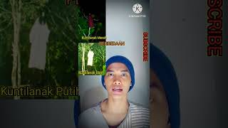 Download lagu Kuntilanak Merah vs Kuntilanak Putih#mistik #kuntilanak #mistis#urbanlegends #trendingshorts #fypシ mp3