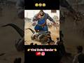 Bandar Ka TTE Ke Sath Hua Jaghra Funny Monkey Video Bablu Aivlog ViralAivlog Shorts
