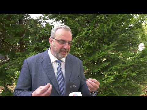 Ranko Rajović o karakteru dece - Dete mora imati obaveze i jasne granice