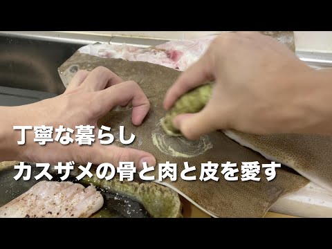 標本用に仕入れたカスザメのポテンシャルがすごかった