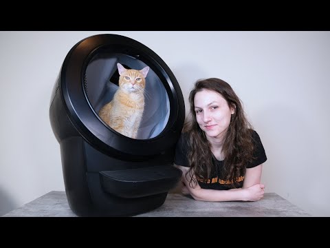 Litter-Robot 4 Review (We Tried It For A Month)