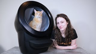 Litter-Robot 4 Review (We Tried It For A Month)