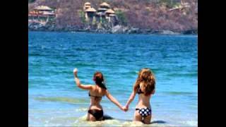 of montreal the stills