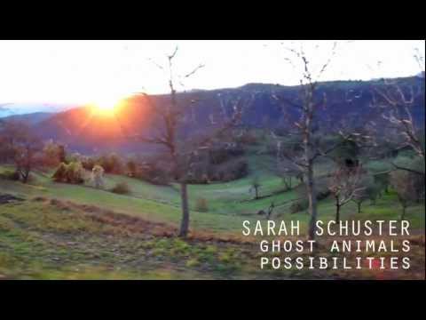 Ghost Animals by Sarah Schuster