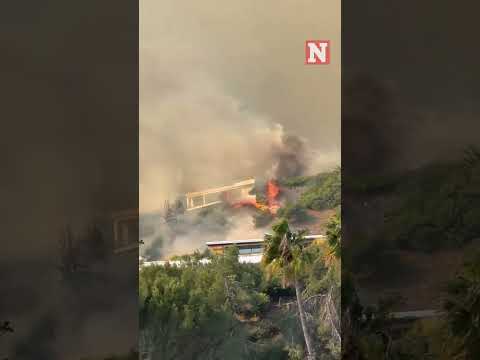 Los Angeles Fires: Actor James Woods Documents Pacific Palisades On Fire