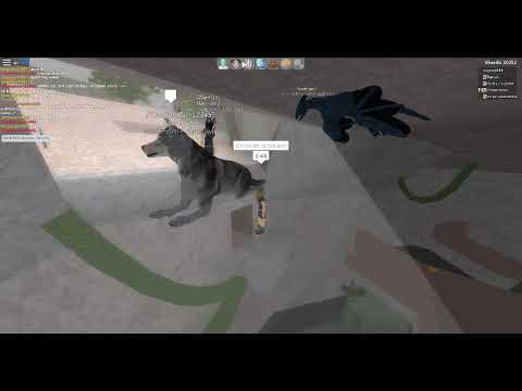 Roblox shard seekers - ANOTHER GLITCH BEYOND HISTORY!