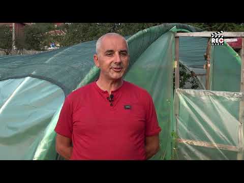 Bio bašta kao džungla