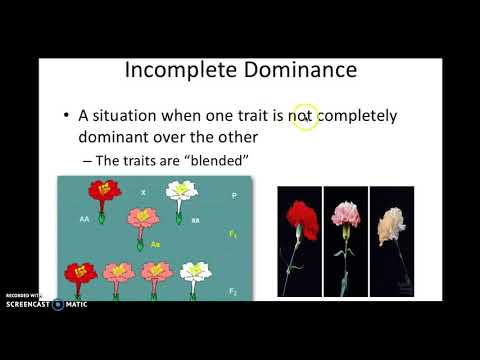 Complex Traits Lecture