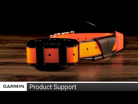 Support: Battery Replacement on a T 5 or TT™ 15