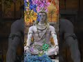 Shiv Shiv Shambhu Mahadev Status Shiv Shambhu Shorts Mahadev Shortvideo Shortsfeed