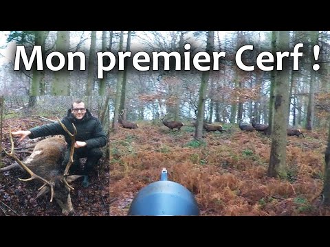 Mon premier Cerf - My First Red Stag Driven Hunt - Chasse HD