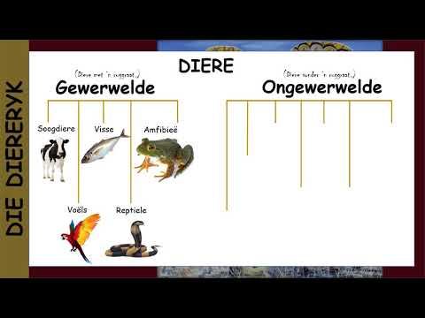 Die diereryk Week 6