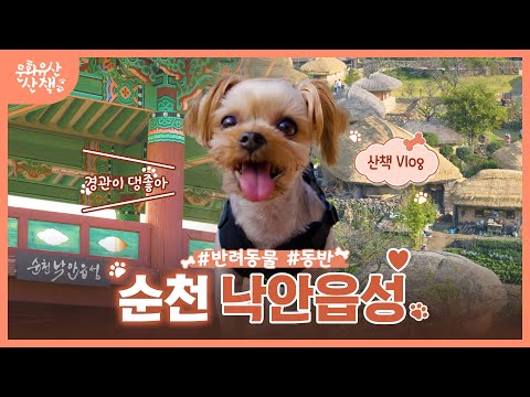댕댕이 '까미'와 함께하는 순천여행~! (feat. 꿀팁 대방출)(SUB)