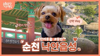 댕댕이 '까미'와 함께하는 순천여행~! (feat. 꿀팁 대방출)(SUB)