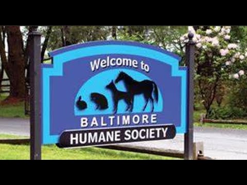 Baltimore Humane Society