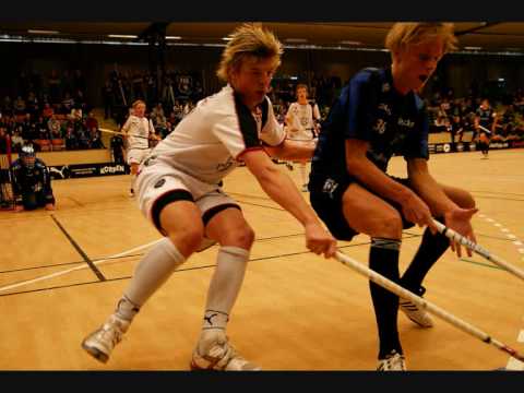 Vägen mot USM-guldet 2010