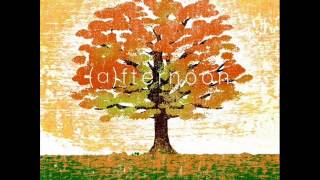 Mae - The Fight Song (Crash and Burn)