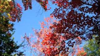 preview picture of video 'The Camp at Wahnapitae, Sudbury'