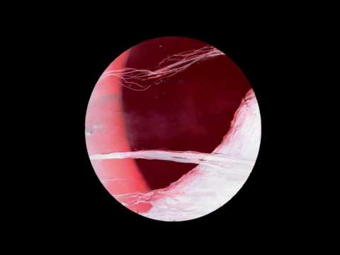 Frequenzfresser - Paranoia