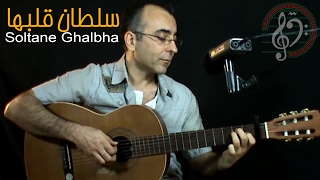 Soltane ghalbha, Persian Guitar سلطان قلبها، گیتار ایرانی