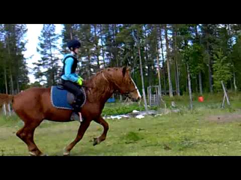 sh-o. Aikko ♥ ~ Stay here t o n i g h t ~